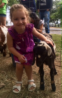 Petting a Goat at family fun adventure at Breezy Hill Farm in Woodbine, MD. #AlpacaFarm #FamilyActivities #Farms