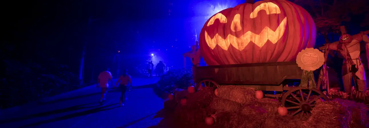 Busch Gardens Howl-O-Scream can be a fun experience with kids if you know where to go and what to avoid! Check out our 5 tips to have a fun, but not frightening experience!