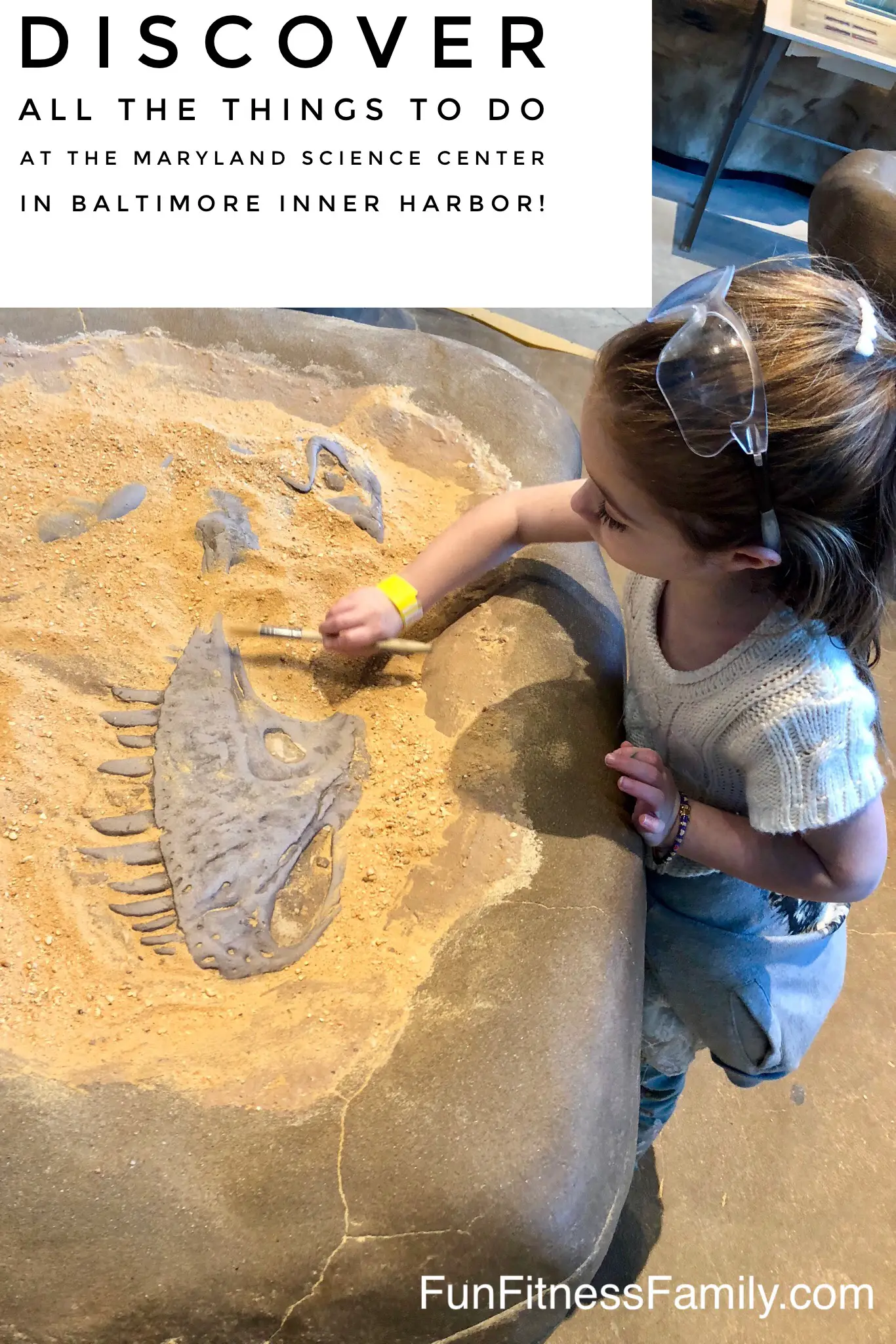 Maryland Science Center Baltimore Inner Harbor Dinosaur Fossils