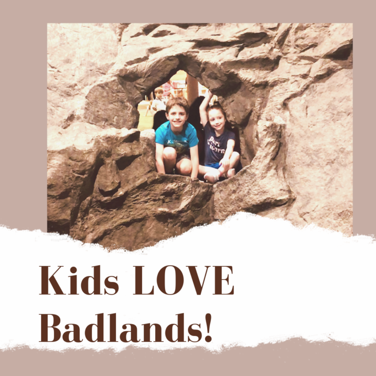 Badlands is a nature-inspired explorative play space located in North Bethesda, about 45 minutes from Washington, D.C. #kidsactivities #indoorplaycenter #DC #BethesdaMD