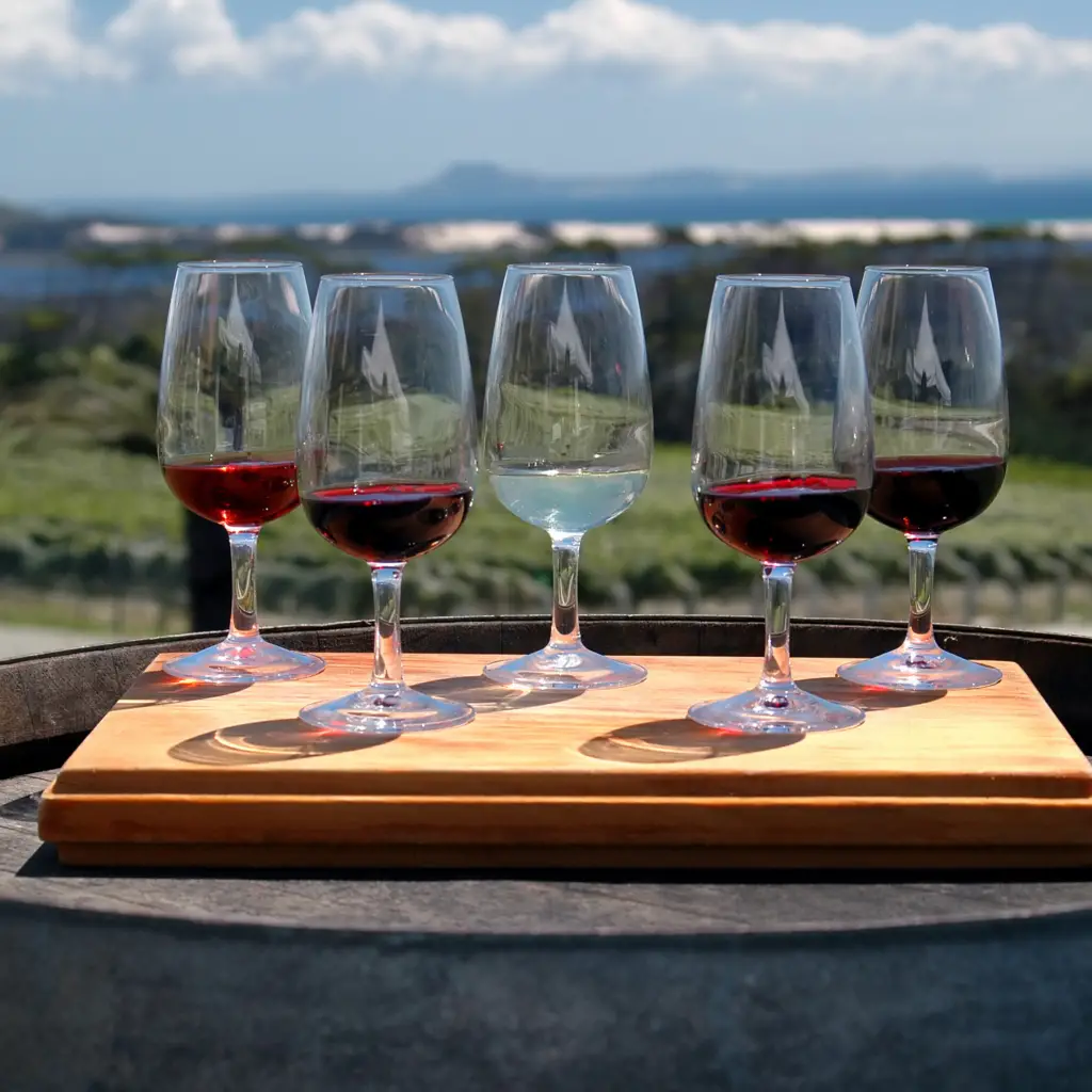 NakedWines.com is a great way to do wine tastings at home without the expense of traveling. Travel the world from your laptop to pick from locally-owned wineries in 11 different countries representing 5 different continents!⁣ 