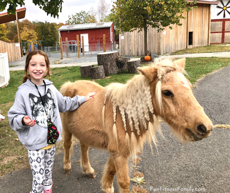 Land of Little Horses in Gettysburg PA