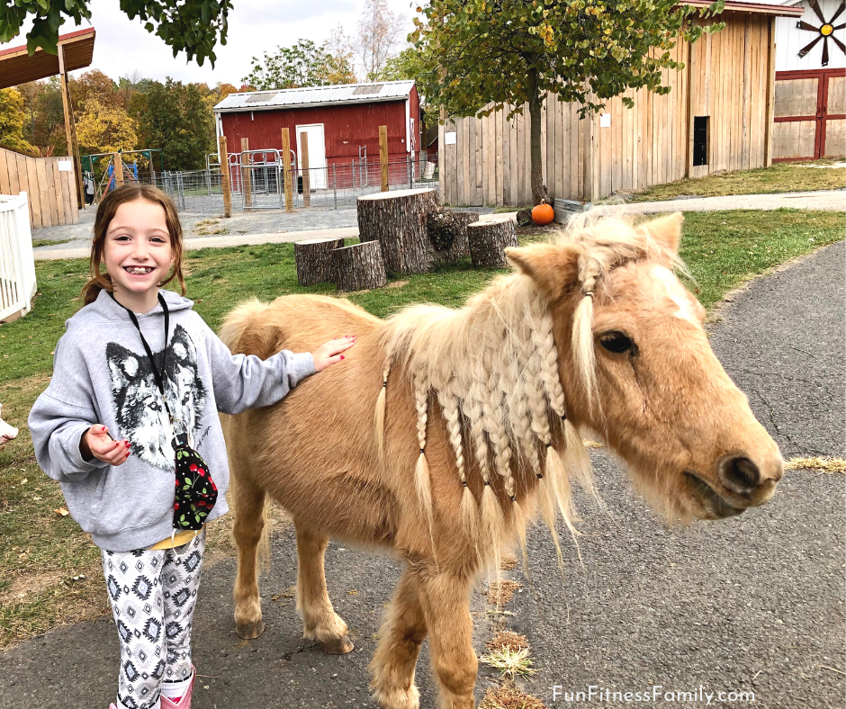 Such a sweetheart': Beacon Hill Children's Farm mourns loss of beloved  miniature horse