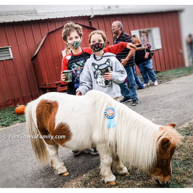 Land of Little Horses has 49 ponies plus about 100 other animals to see and pet!