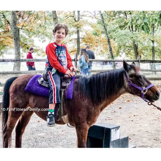 Land of Little Horses offers pony rides and lots of other fun activities for kids!