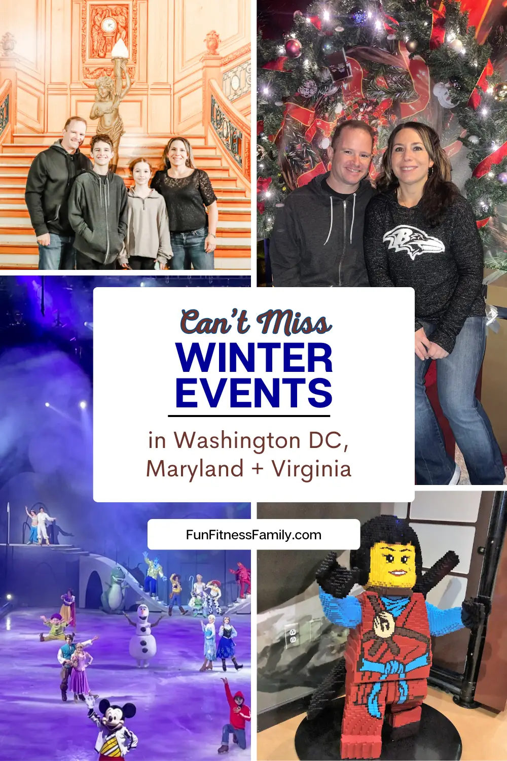 There are plenty of fun winter events in Washington D.C., Baltimore and Northern Virginia. We hope you enjoy our list of winter activities that includes festivals, museum events, and lots of other ways to have fun indoors for the first few months of the new year! 
#baltimore #dc #northernvirginia #winterevents