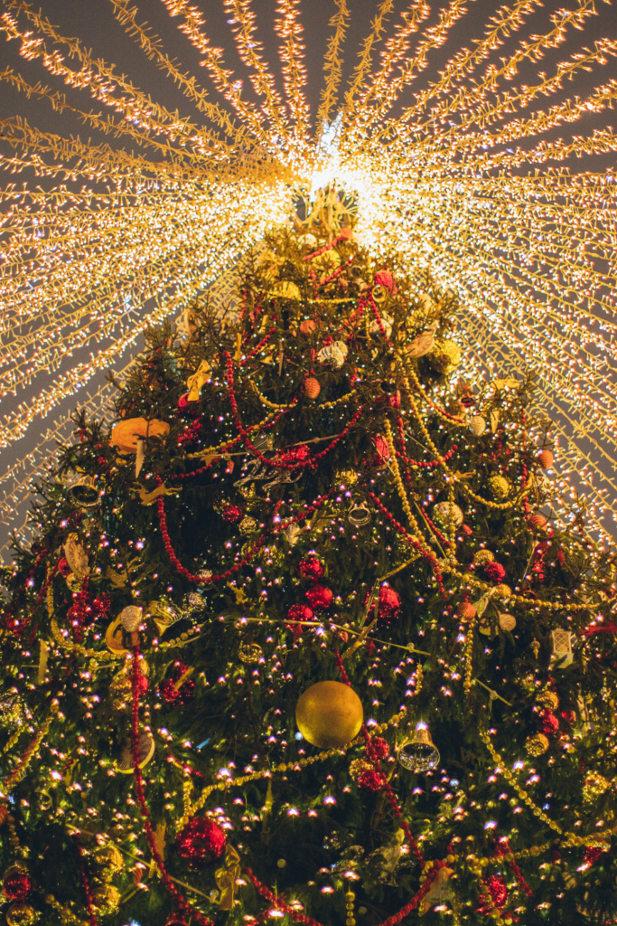 Top 9 Must-See Christmas Trees to See in Washington, D.C.