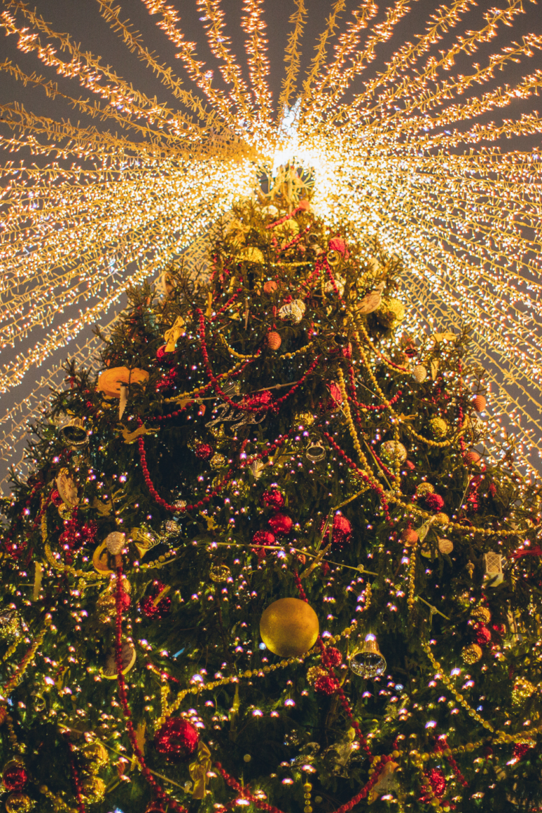 Top 9 Must-See Christmas Trees to See in Washington, D.C.